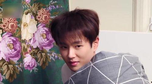 范丞丞白鹿吃瓜爆料视频,揭秘娱乐圈幕后真相